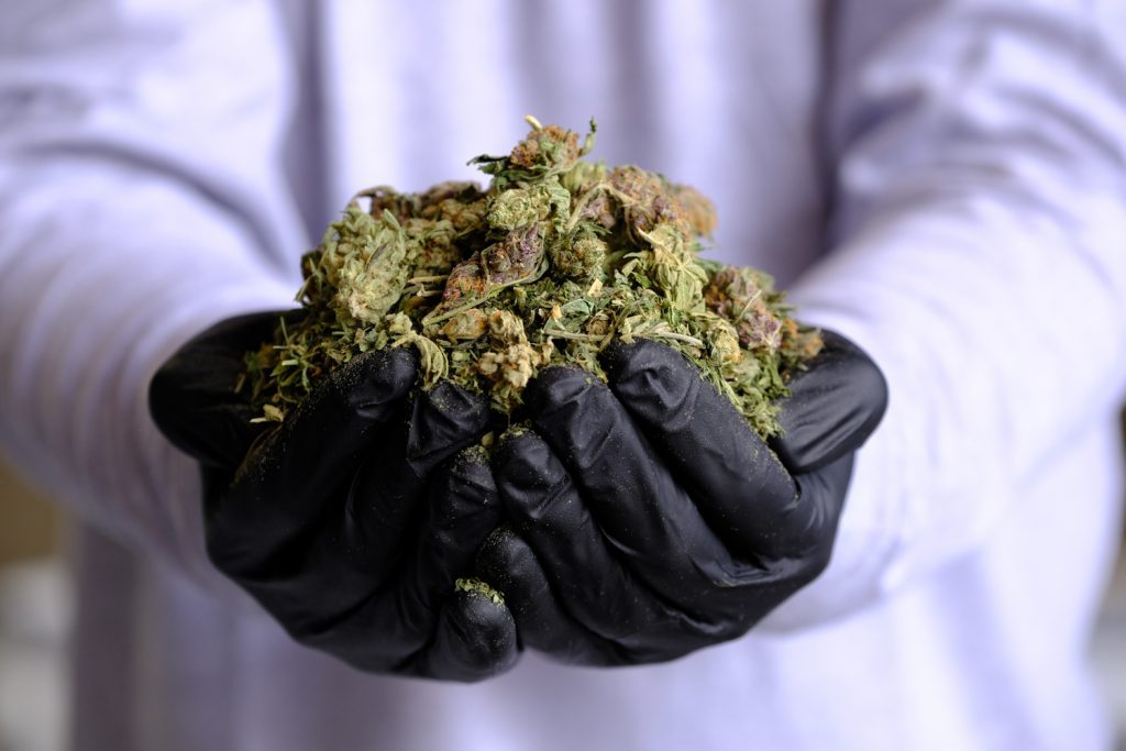 Cannabis waste solutions services