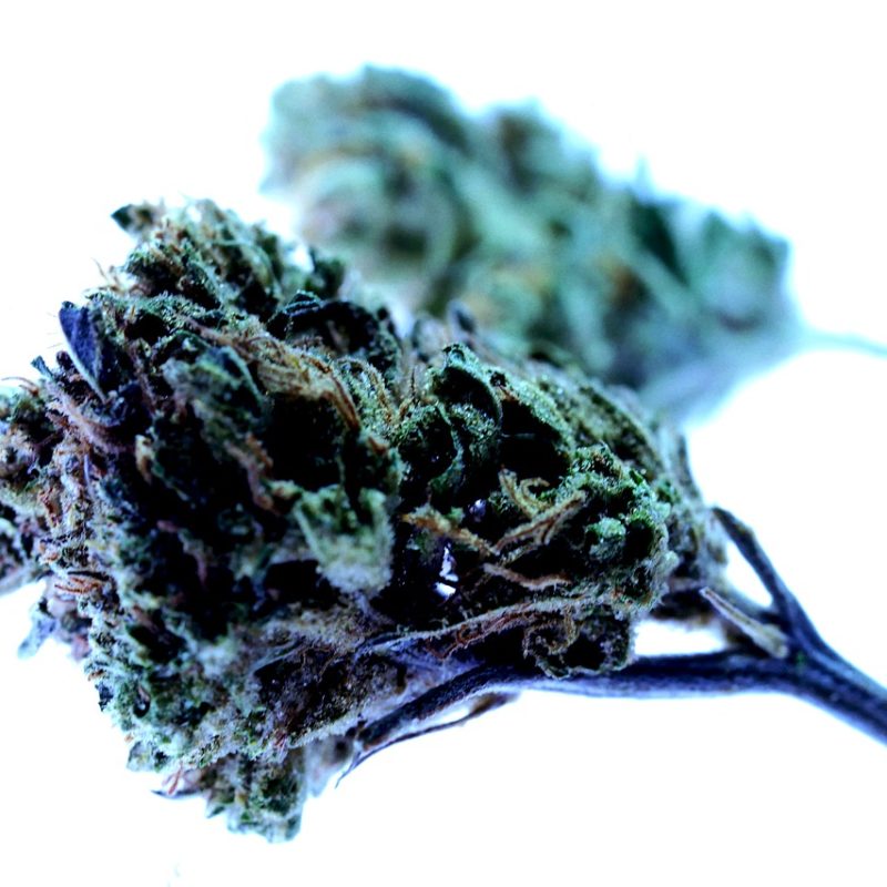 What Does Unusable and Unrecognizable Mean When Discarding Cannabis Waste