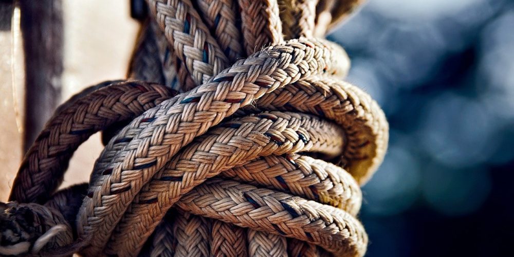 What Can You Do With Hemp Biomass