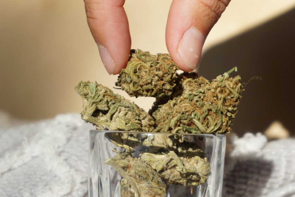 How to Dispose of Medical Marijuana Waste