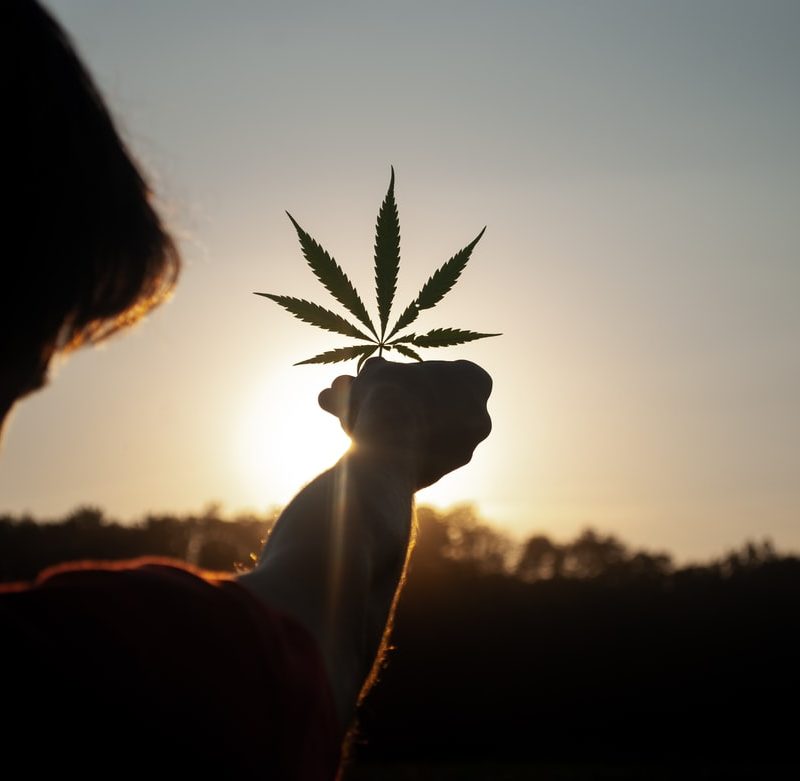 hemp impact on the environment